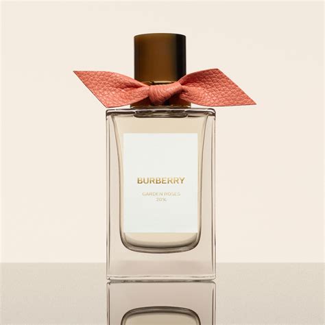 burberry perfum rose|burberry perfume website.